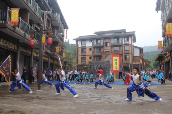 1492589307258989.jpg wushu.jpg